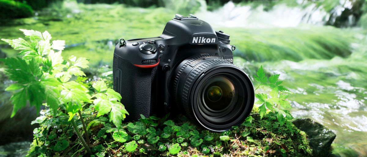 Nikon D750 review