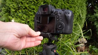 A man setting up a camera on a tripod to shoot spider webs in a garden