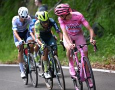 BASSANO DEL GRAPPA, ITALY - MAY 25: (L-R) Antonio Tiberi of Italy and Team Bahrain - Victorious - White best young jersey, Daniel Martinez of Colombia and Team BORA - hansgrohe and Tadej Pogacar of Slovenia and UAE Team Emirates - Pink Leader Jersey compete during the 107th Giro d'Italia 2024, Stage 20 a 184km stage from Alpago to Bassano del Grappa / #UCIWT / on May 25, 2024 in Bassano del Grappa, Italy. (Photo by Tim de Waele/Getty Images)