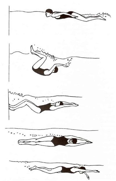 White, Line, Illustration, Black-and-white, Drawing, Line art, Sketch, Paper,
