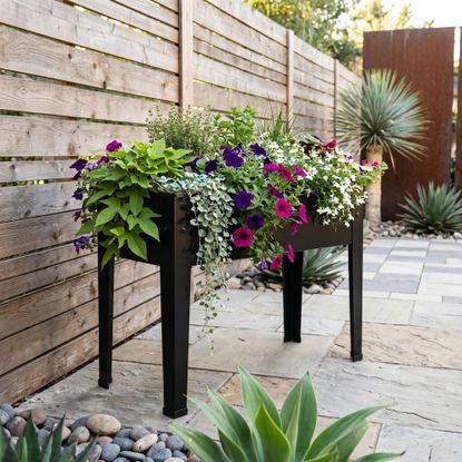 Aldi Belavi planter in a modern garden