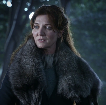 Fur, Beauty, Outerwear, Fur clothing, Screenshot, Darkness, Photography, Forest, Fictional character, Long hair,