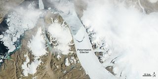 Petermann Glacier's new iceberg moves toward the ocean.