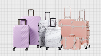 Luggage leaders: travel companions to get carried away with