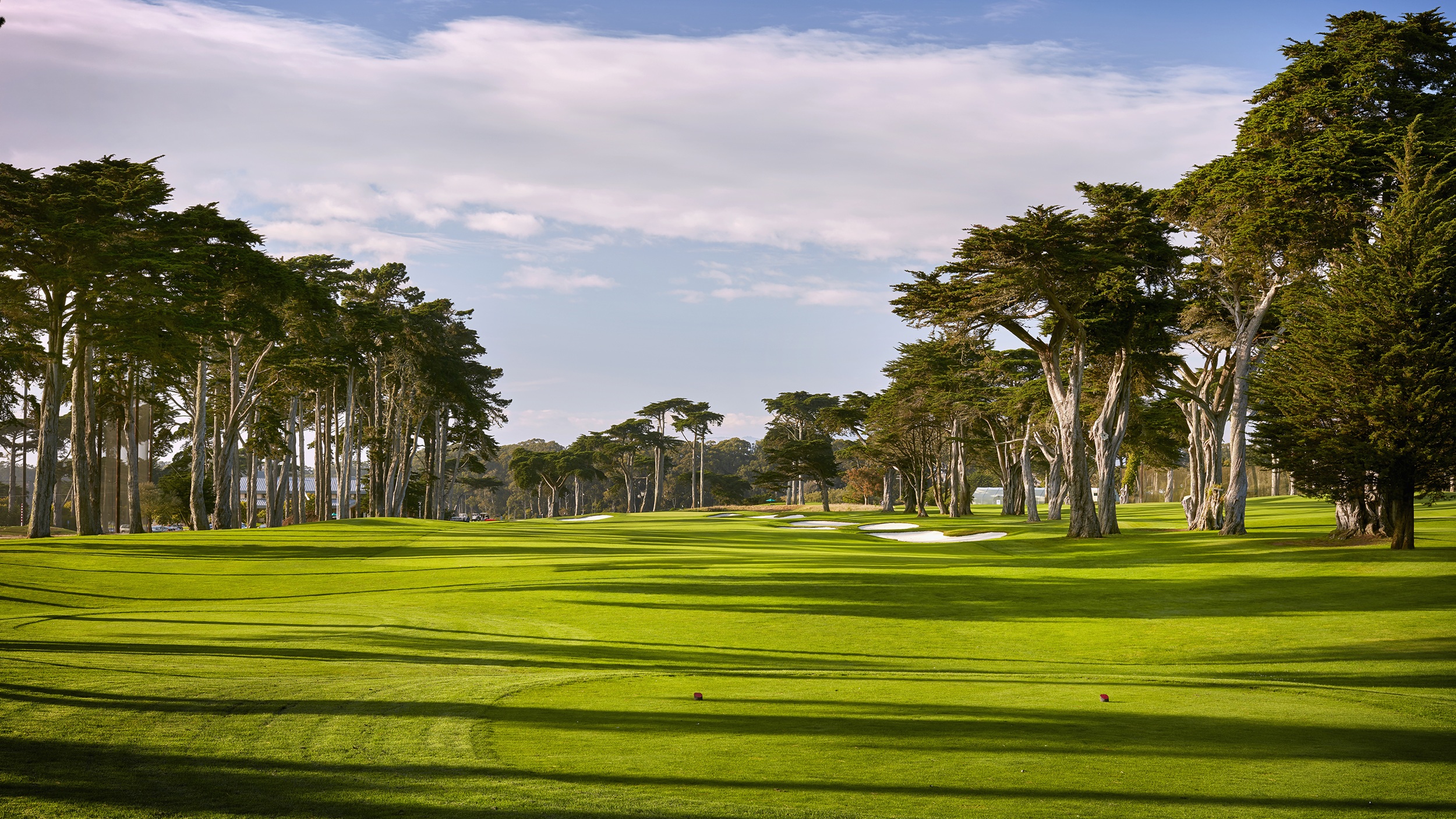 TPC Harding Park