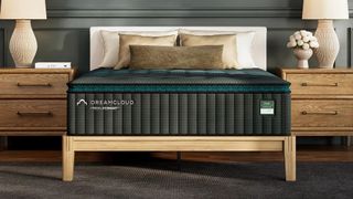 The DreamCloud PressureSmart Plush Mattress on a bedframe in a decorated bedroom