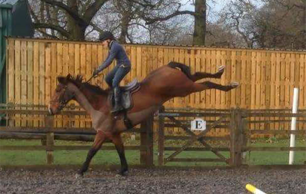 &ldquo;I event this horse, Casper, and this photo was taken following me bringing him back into work following an injury while eventing. Casper is 16.2hh and I am 4&Prime;11 so I wouldn&rsquo;t say I &lsquo;fit him&rsquo; very well! I asked Casper for extention and he had other ideas and bronced down the long side. I managed to stay on, miraculously!&rdquo; &mdash; Annabelle Farrar