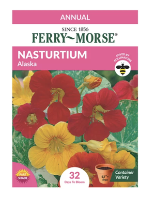 nasturtium seed packet