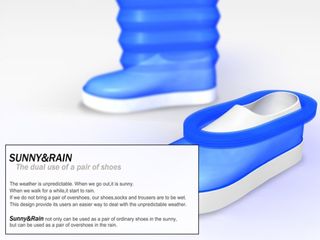 Convertible Shoes