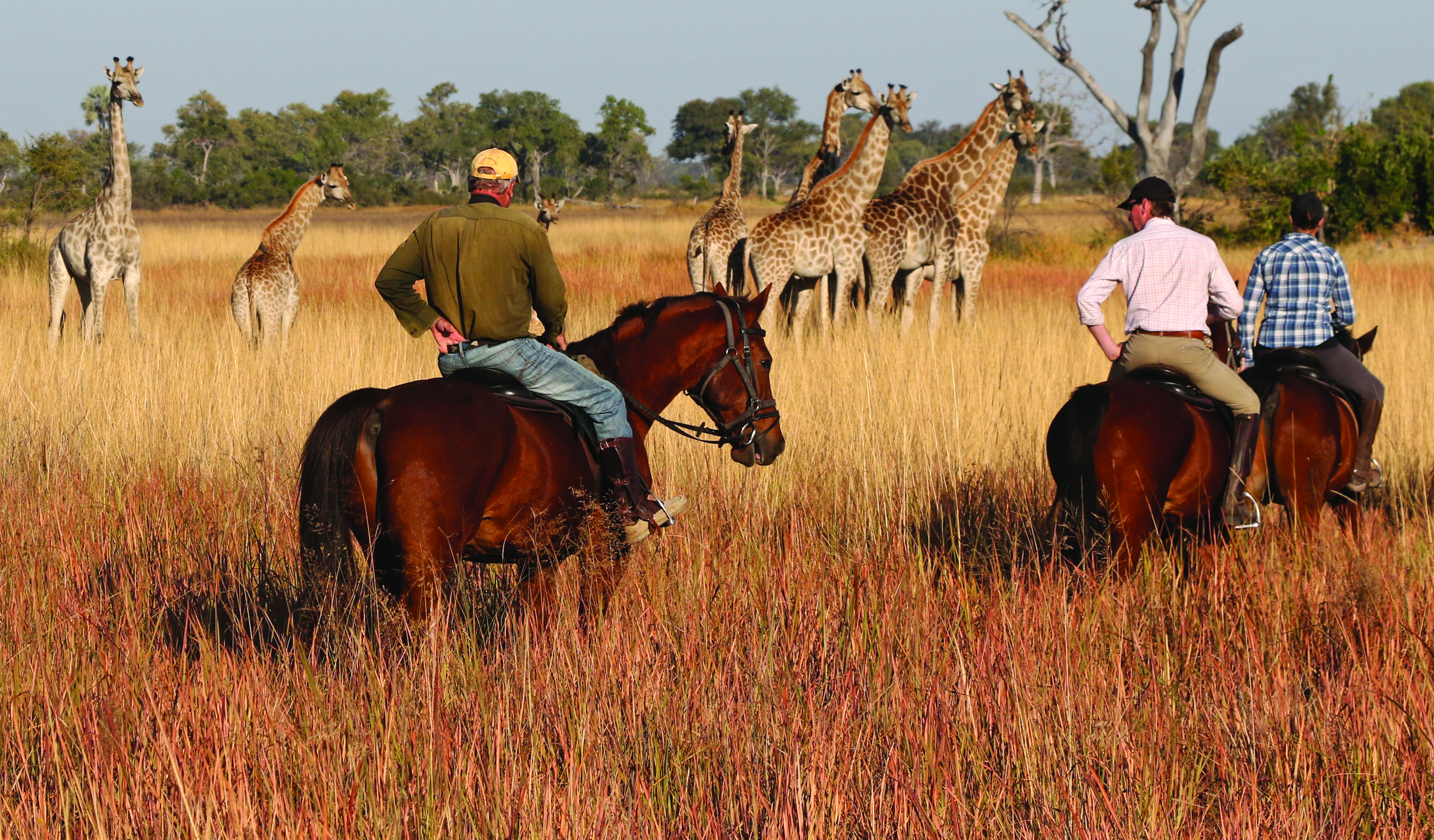 p.2-Life-on-safari.jpg