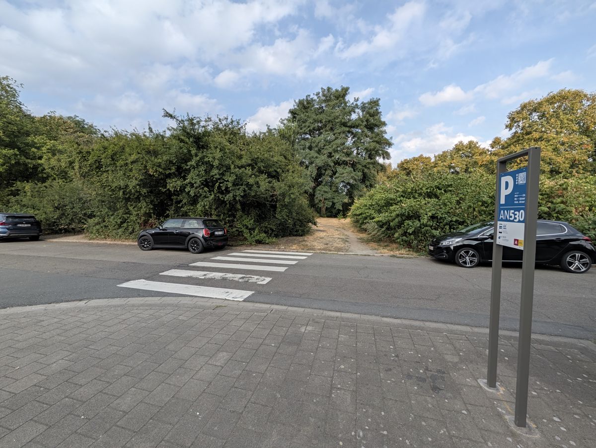 Google Pixel 11 Pro voorbeeldfoto