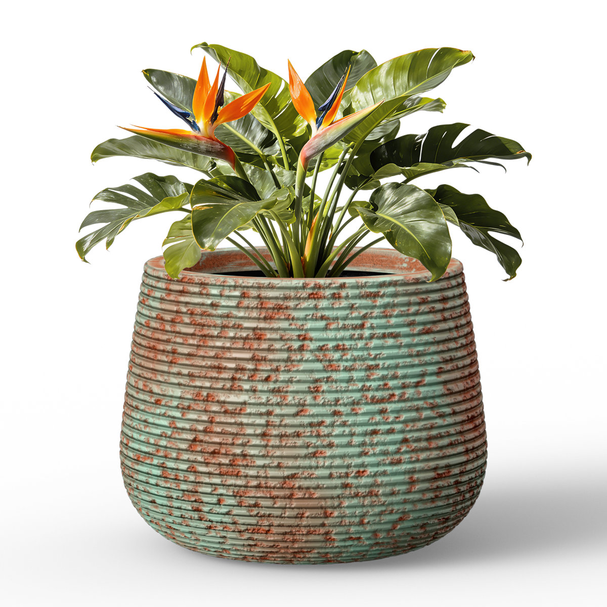 Latitude Run&amp;reg; Durx-Litecrete Concrete Planter Round Flower Plant Pot With Draiange Hole for Outdoor &amp;amp; Indoor With Upgraded Interior &amp;amp; Reviews | Wayfair