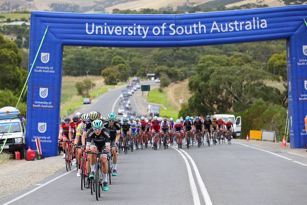 The peloton in action during stage 3 at the Tour Down Under