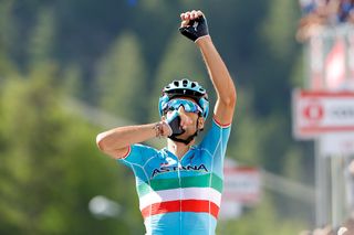 Vincenzo Nibali celebrates as he crosses the line to win stage 19 at the Giro.