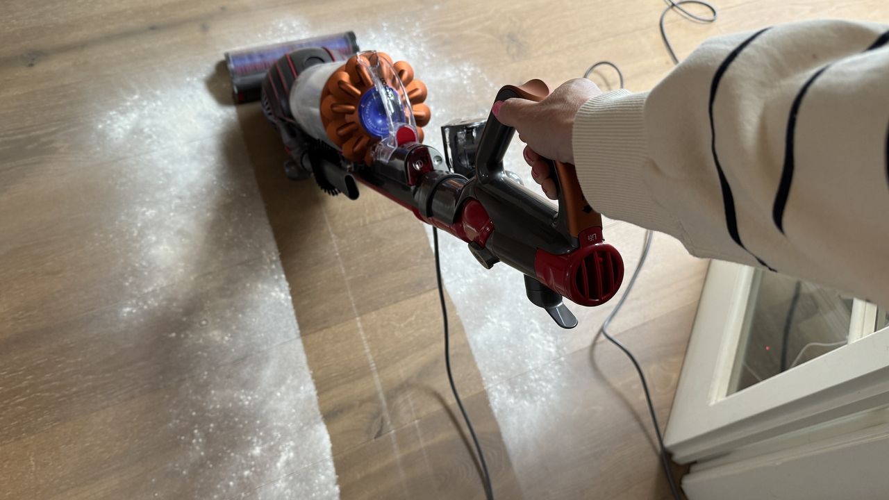 Dyson Ball Animal 3