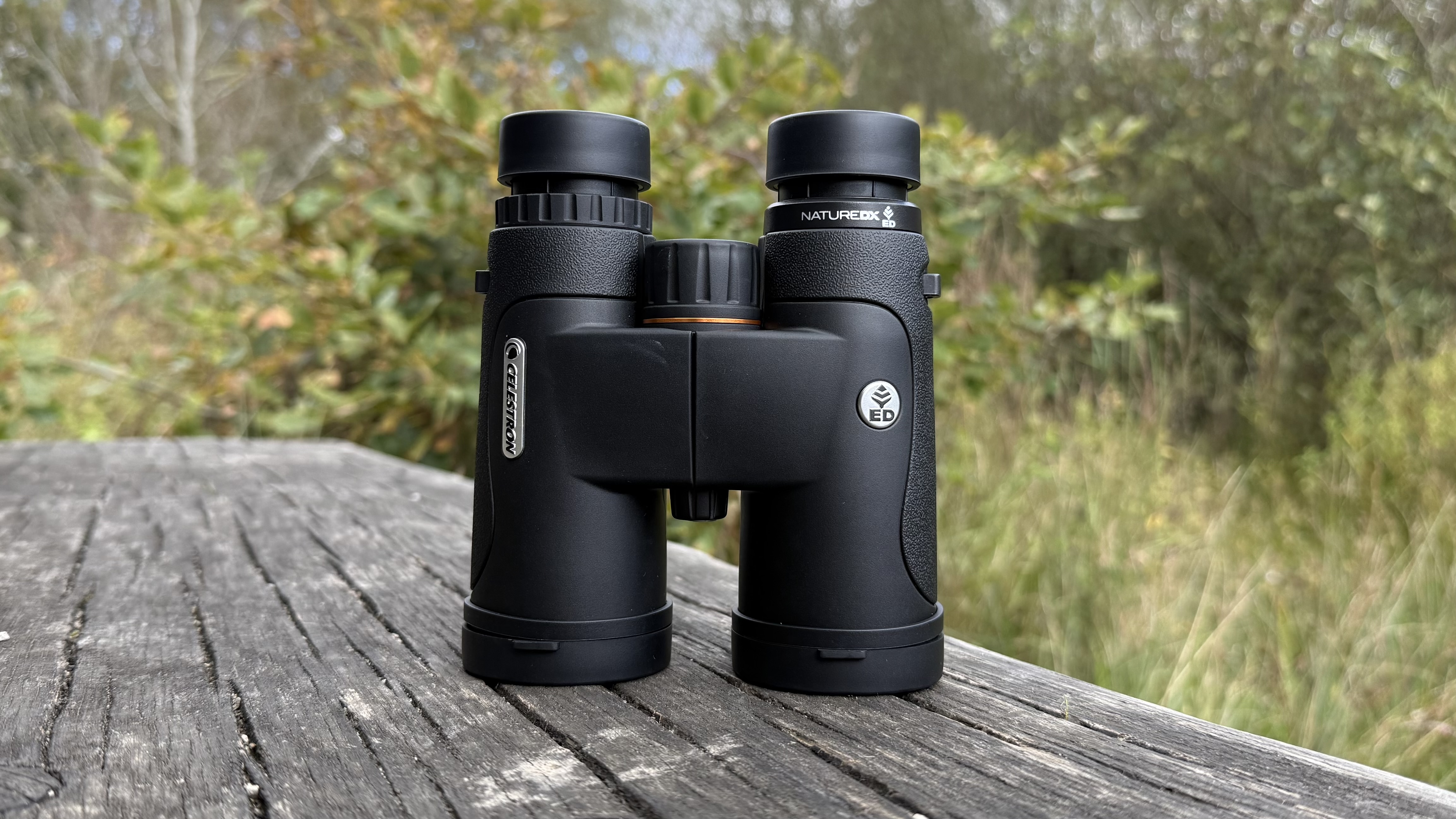 Celestron Nature DX ED 10x42 binoculars on a bench