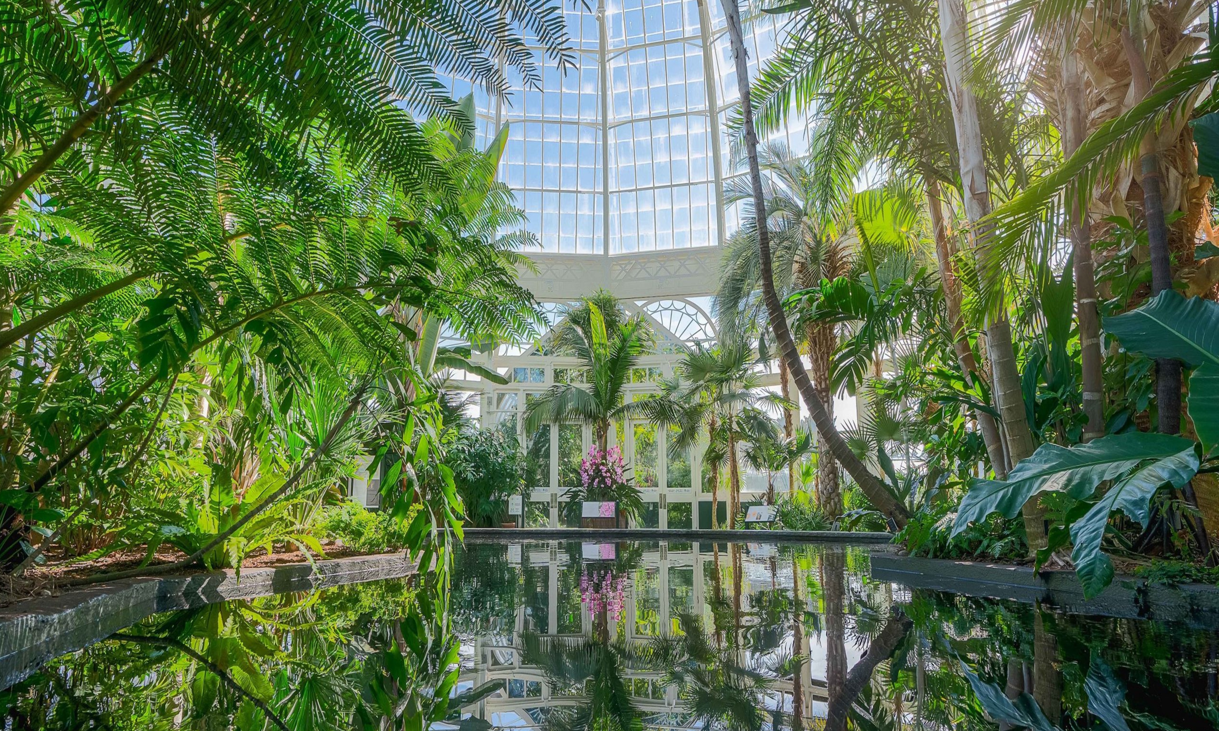 Conservatory, Palm House, The New York Botanical Garden
