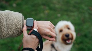 Woman checking smart watch while walking dog