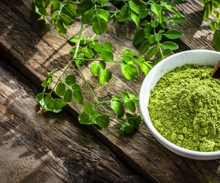 Moringa powder in white bowl on rustic table with leaves next to it