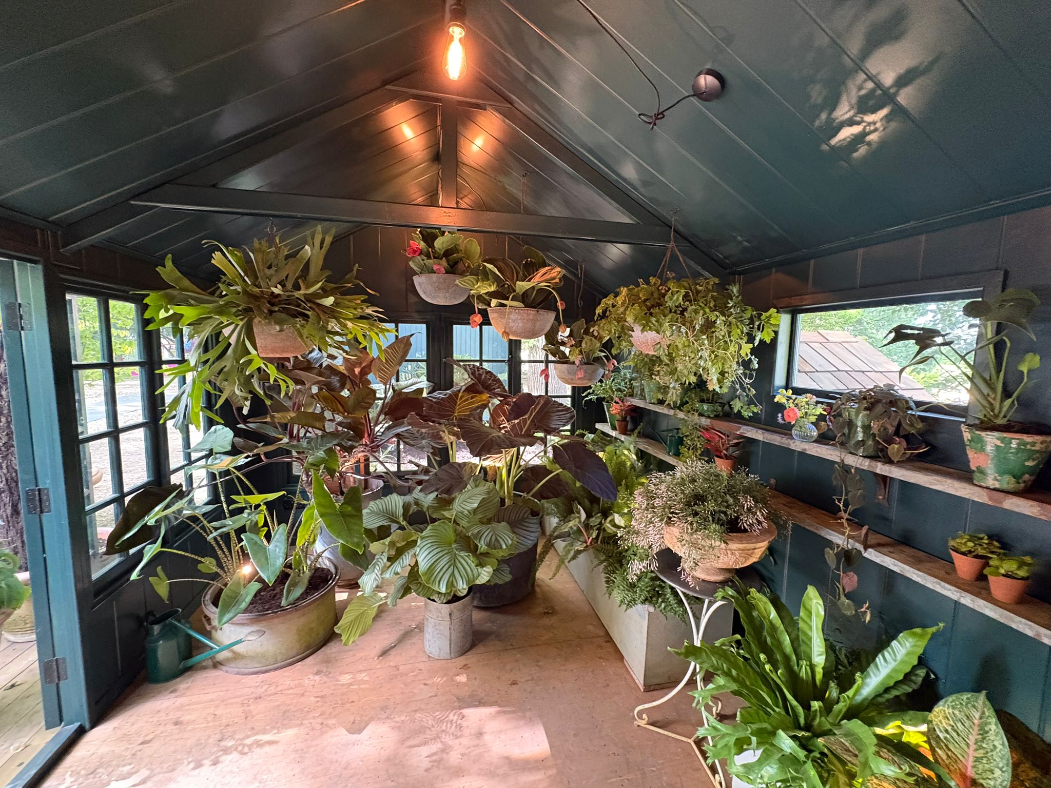 view of the interior of Petersham Nurseries stand at RHS Chelsea