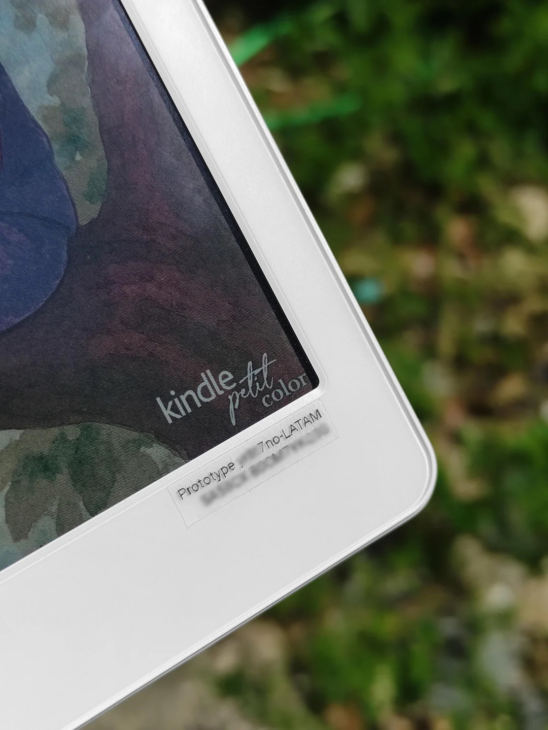 Leaked images of an Amazon ereader supposedly called the Kindle Petit Color showing colors on the display