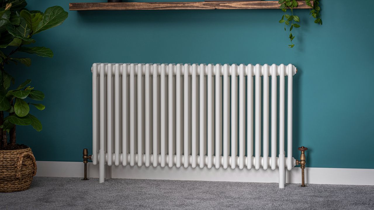 White radiator in front of teal wall on grey carpet