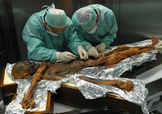 Photo of researchers examining Ötzi's mummy.