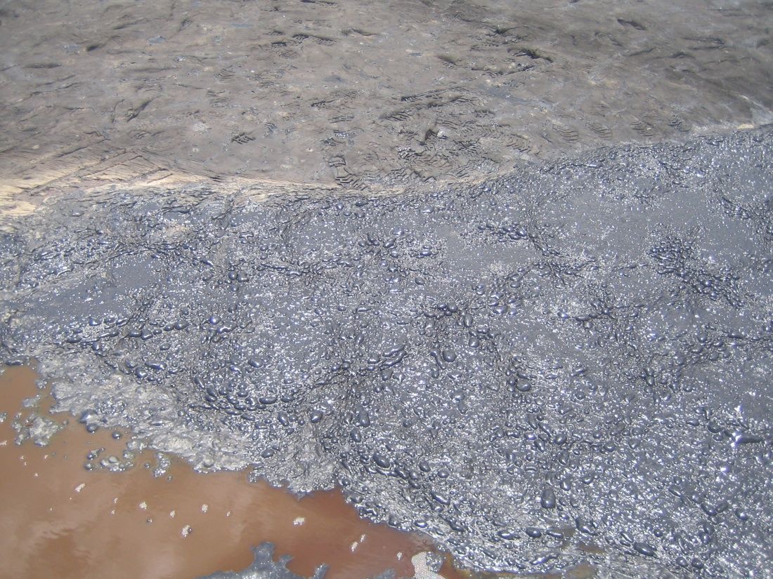 A site at Pitch Lake, the world&#039;s largest asphalt lake located in Trinidad and Tobago, where liquid oil bubbles up to the surface.