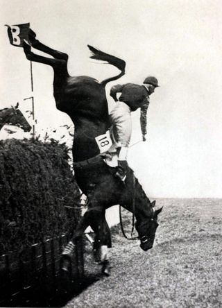 Sport/Horse Racing. The Grand National Steeplechase. Aintree. A photograph from a 1930's Grand National shows how jockey and horse can end up at the mighty Becher's Brook fence.