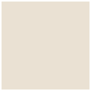 A creamy neutral paint swatch