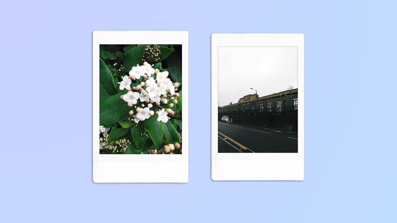 A compilation of photos taken on a Fujifilm Instax Pal digital camera