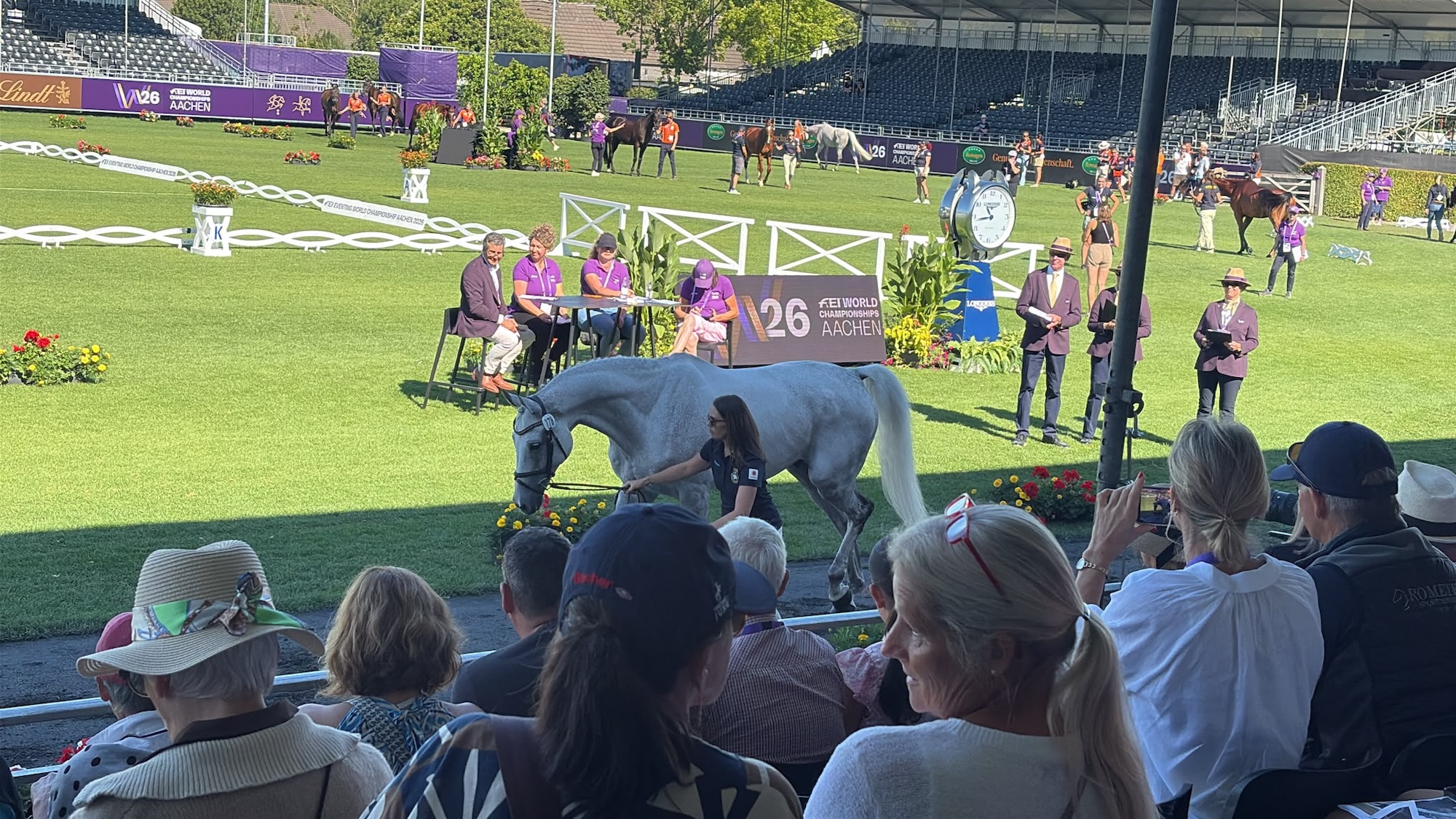 Grey horse trotting up at Aachen world championships