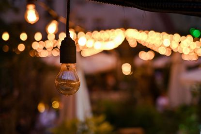 Lightbulbs shine as new Ofgem energy price cap gets announced (image: Anastasiia Smolienko / Ukrinform/Future Publishing via Getty Images)