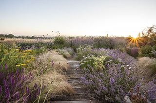 Quo vadis by Annette Lepple ©International Garden Photographer of the Year