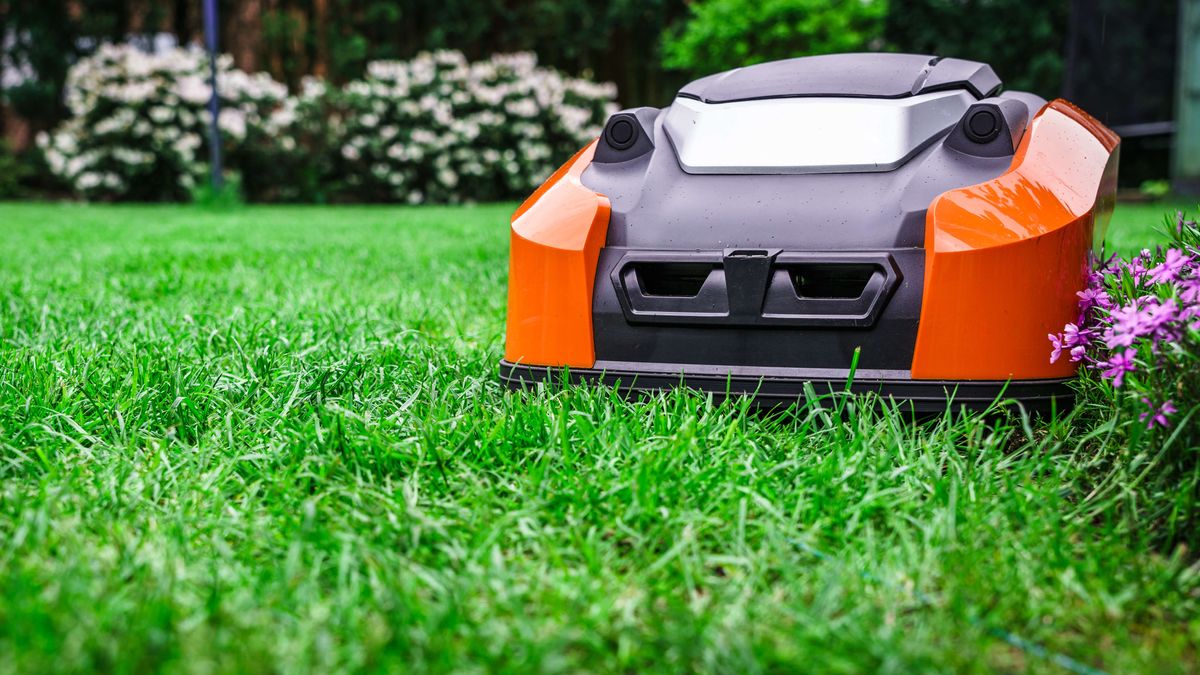 Will 2024 Be The Year Of The Robot Lawn Mower I M Not So Sure Tom S   GTkcjVeJWFWB9GzYc85W7e 1200 80 