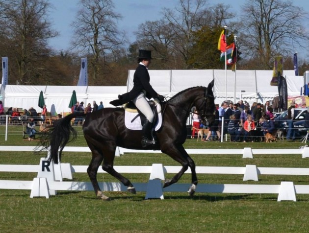 Nana Miley Belton dressage