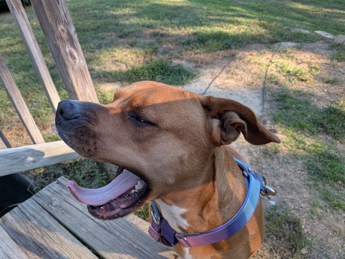 Google Pixel 10 Pro Fold camera samples