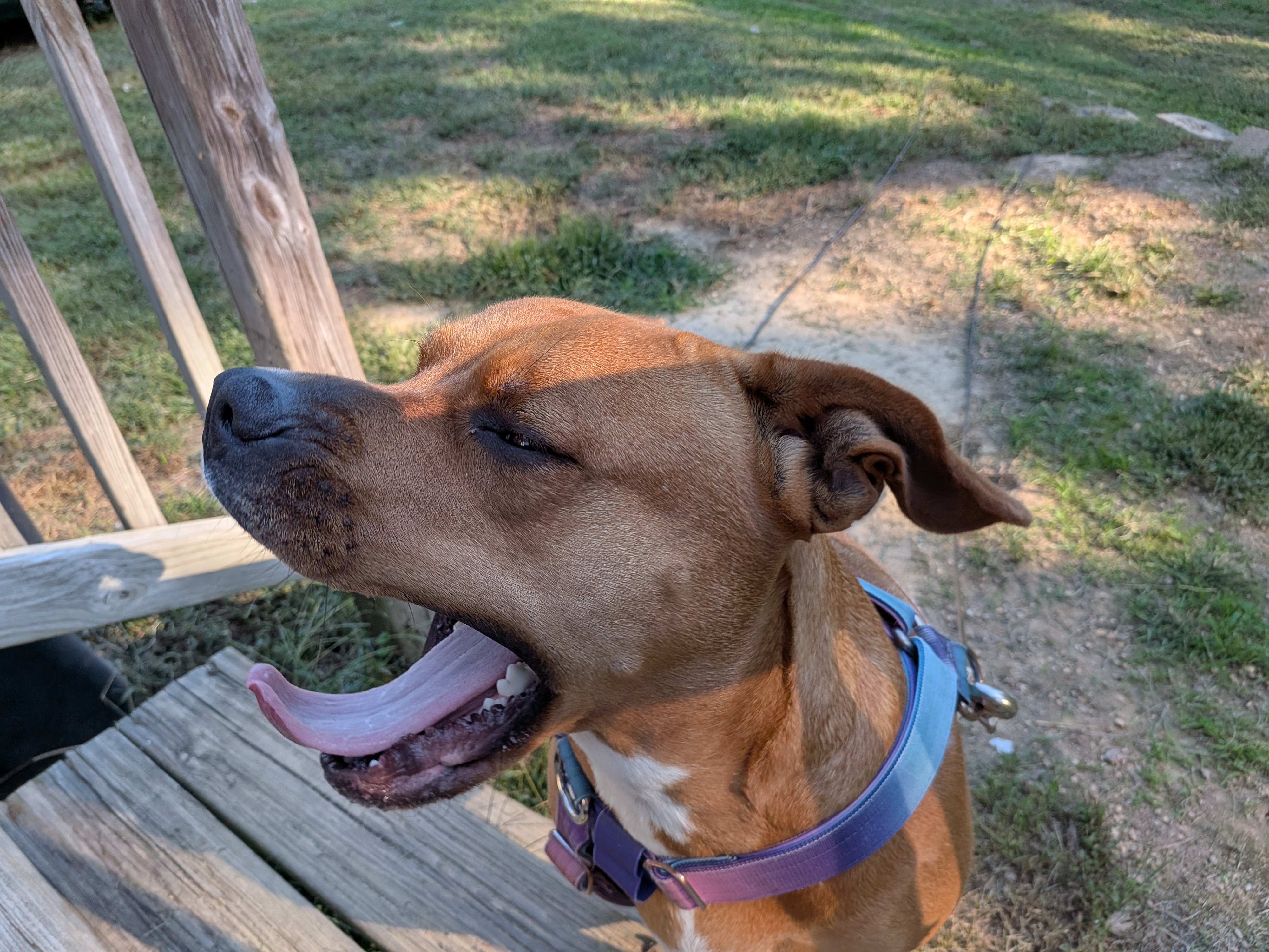 Google Pixel 10 Pro Fold camera samples