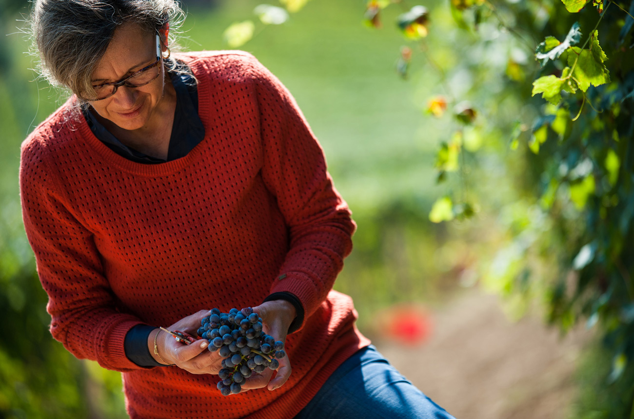Langhe Nebbiolo 2019