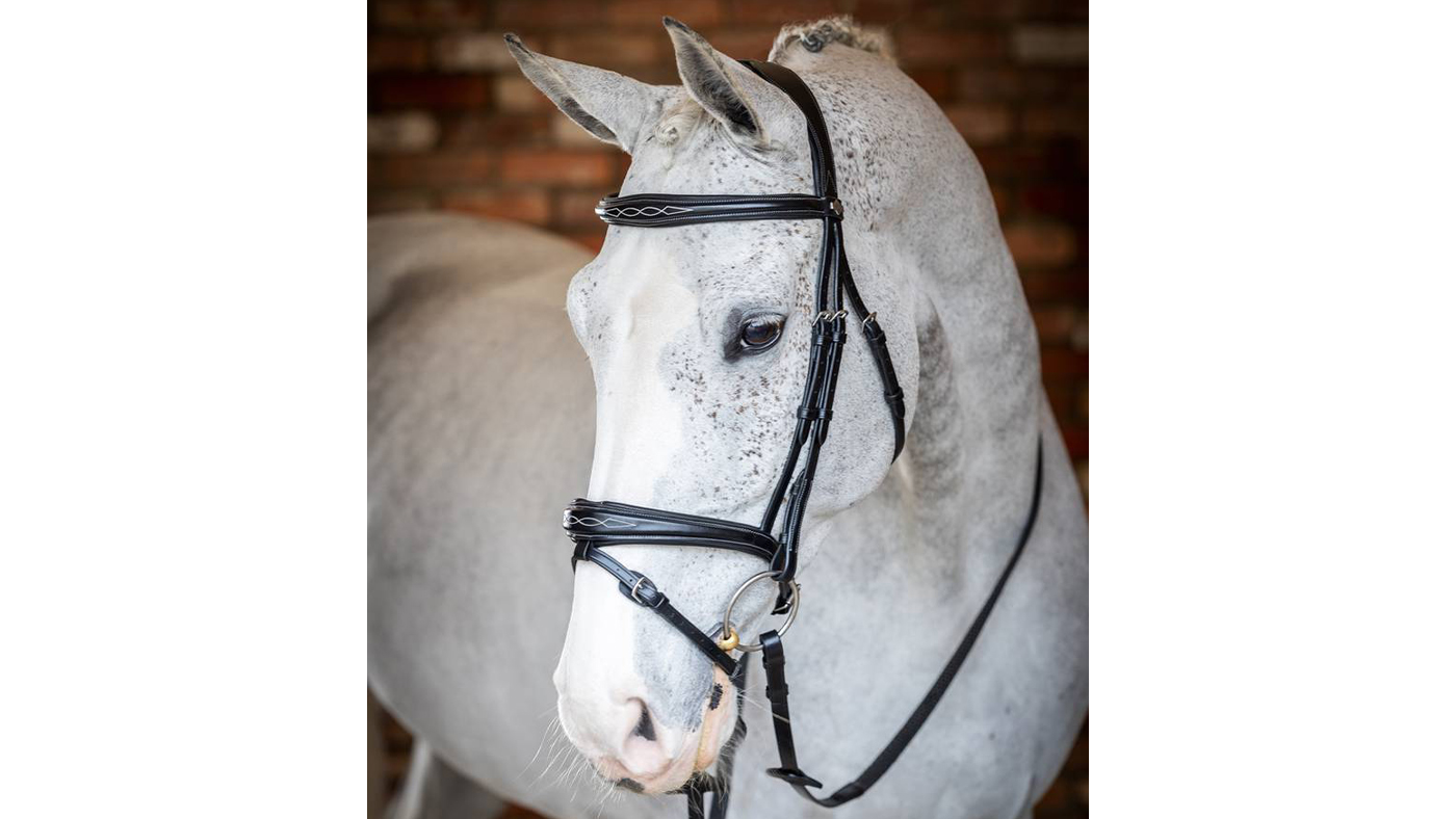 LeMieux Kudos Competition Bridle