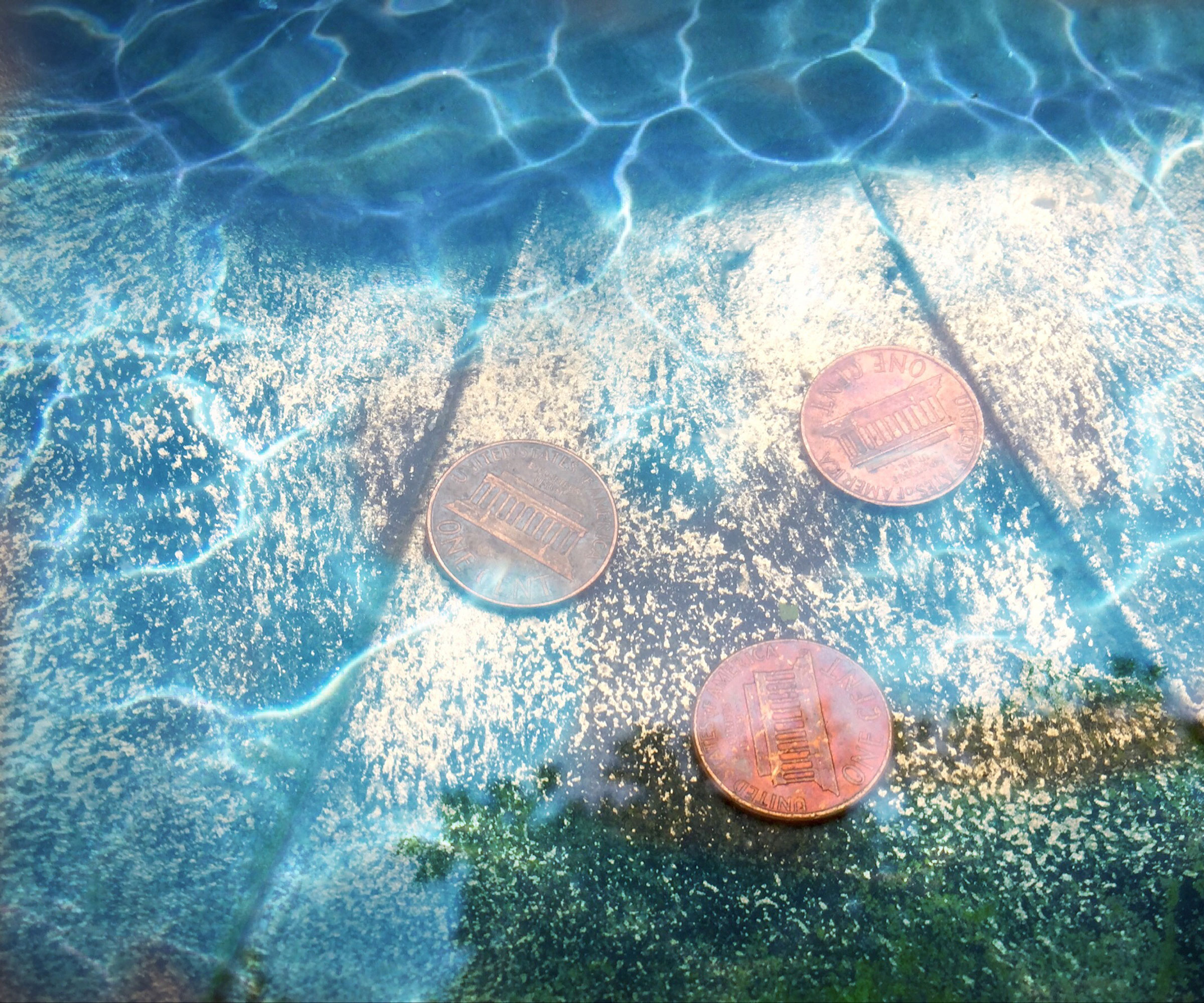 copper coins in bird bath water