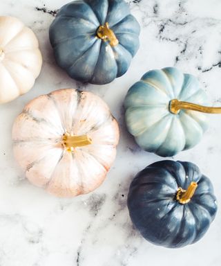 Easy no-carve pumpkin ideas with miniature pumpkins painted blush pink and powder blue with metallic details