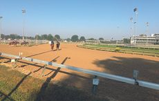 Watching-horses-on-morning-exercise-at-C_52473751_165287512-2.jpg