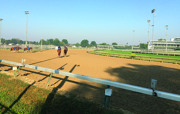 Watching-horses-on-morning-exercise-at-C_52473751_165287512-2.jpg