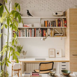 White desk with white shelves and plants