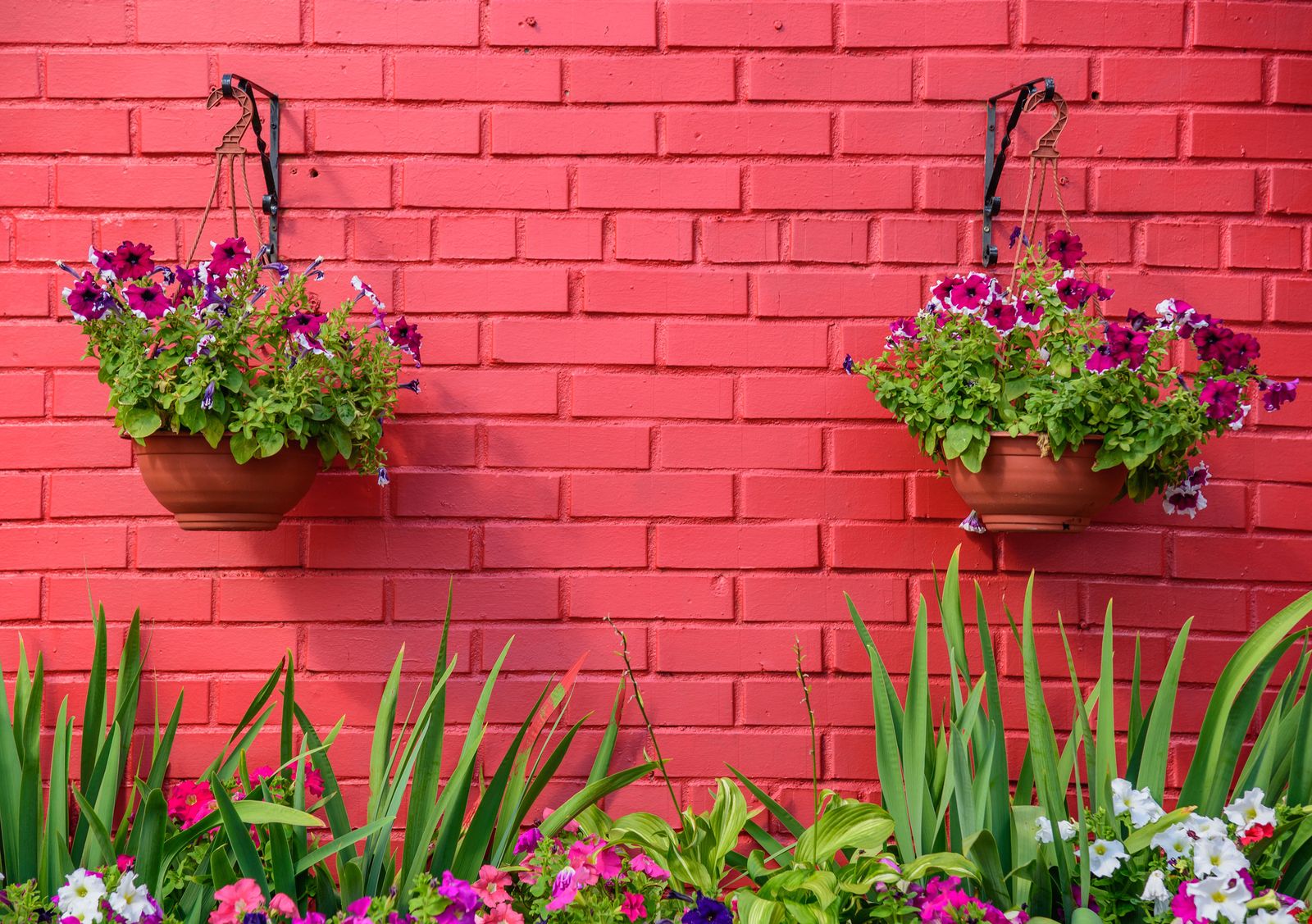 Hanging basket ideas 16 designs to make yours stand out from the crowd