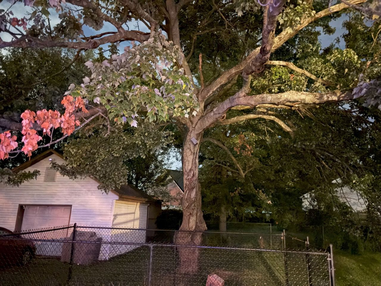 iPhone 17 Camera Sample.