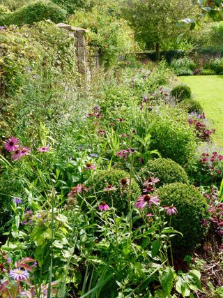 how much does a cottage garden cost? what to budget for