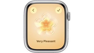Apple Watch screenshot showing mindfulness app