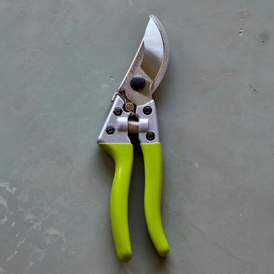 Burpee CR850 Bypass Garden Pruner
